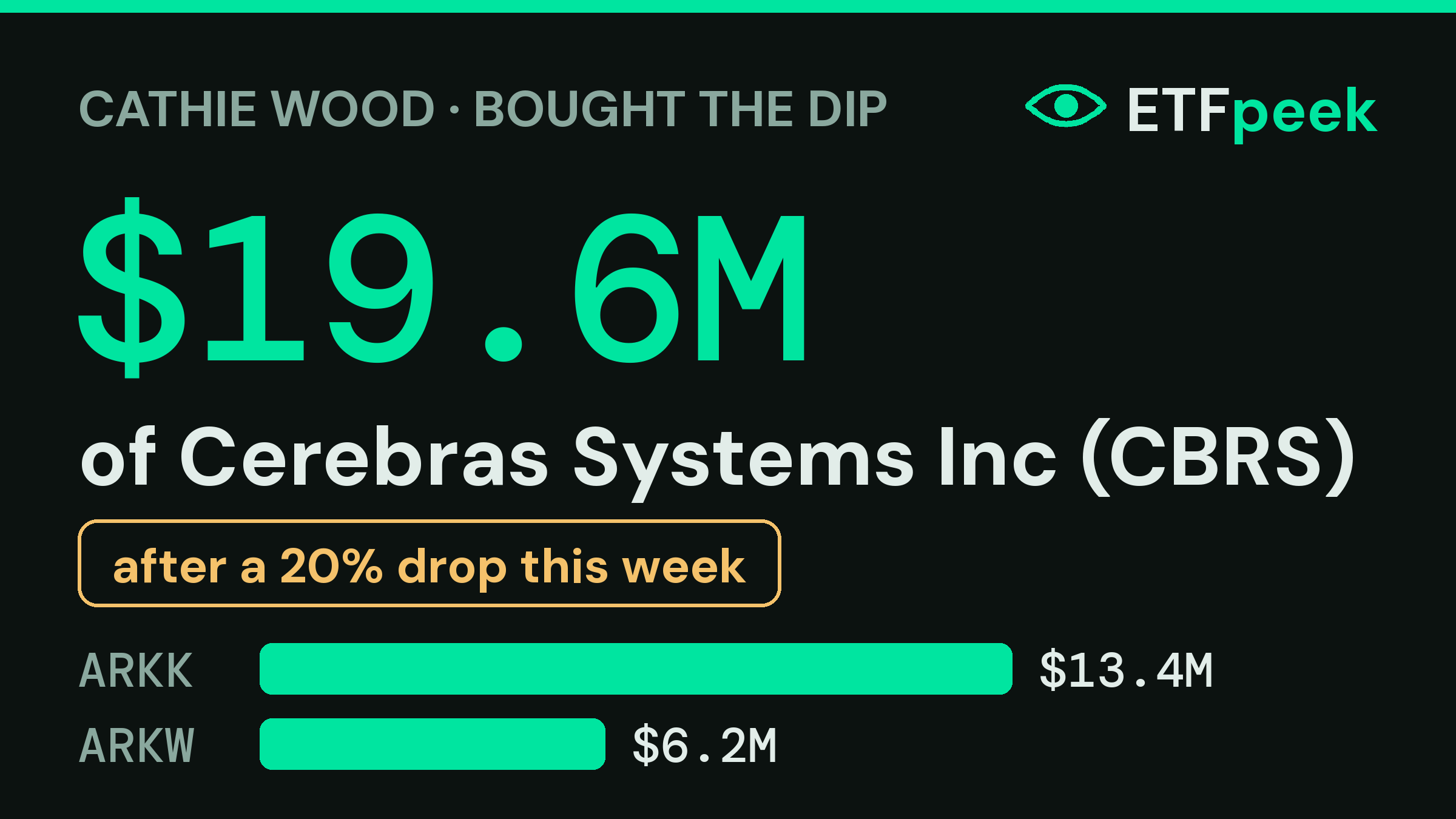 ARK Invest adds $19.6M to Cerebras Systems Inc while it sinks 20%